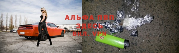 ECSTASY Пересвет