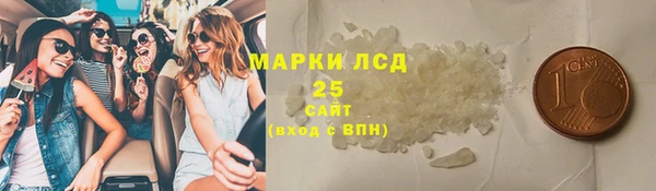 ECSTASY Пересвет