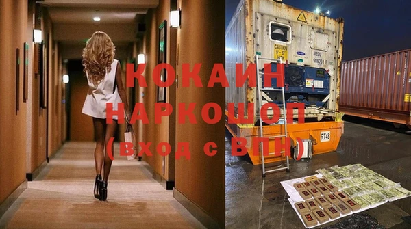 ПСИЛОЦИБИНОВЫЕ ГРИБЫ Губаха