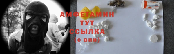 ECSTASY Пересвет