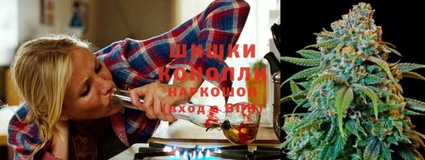 ECSTASY Пересвет