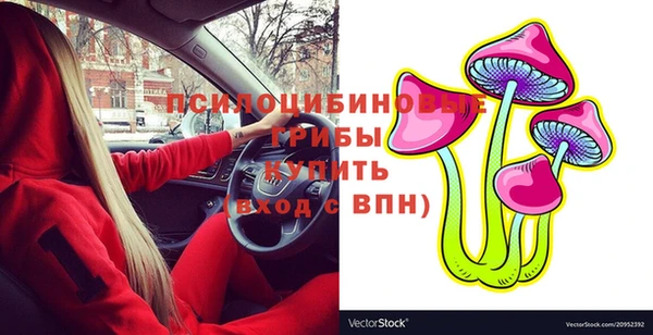 прущая мука Пестово