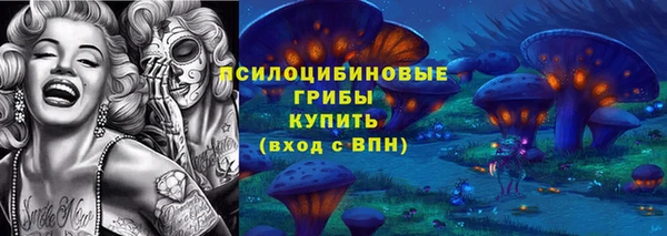 ECSTASY Пересвет